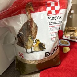 Duck Food