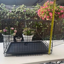 Dog cage