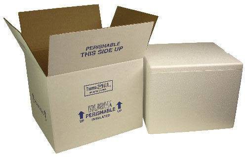 2 Insulated Styrofoam coolers 2 shipping box coral ice refrigerated