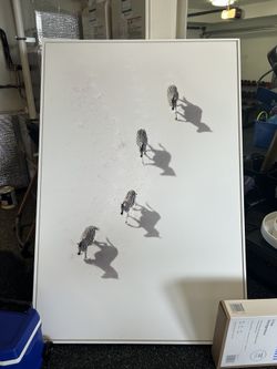 Extra large white zebra print on stretched canvas