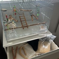 bird cage for sale