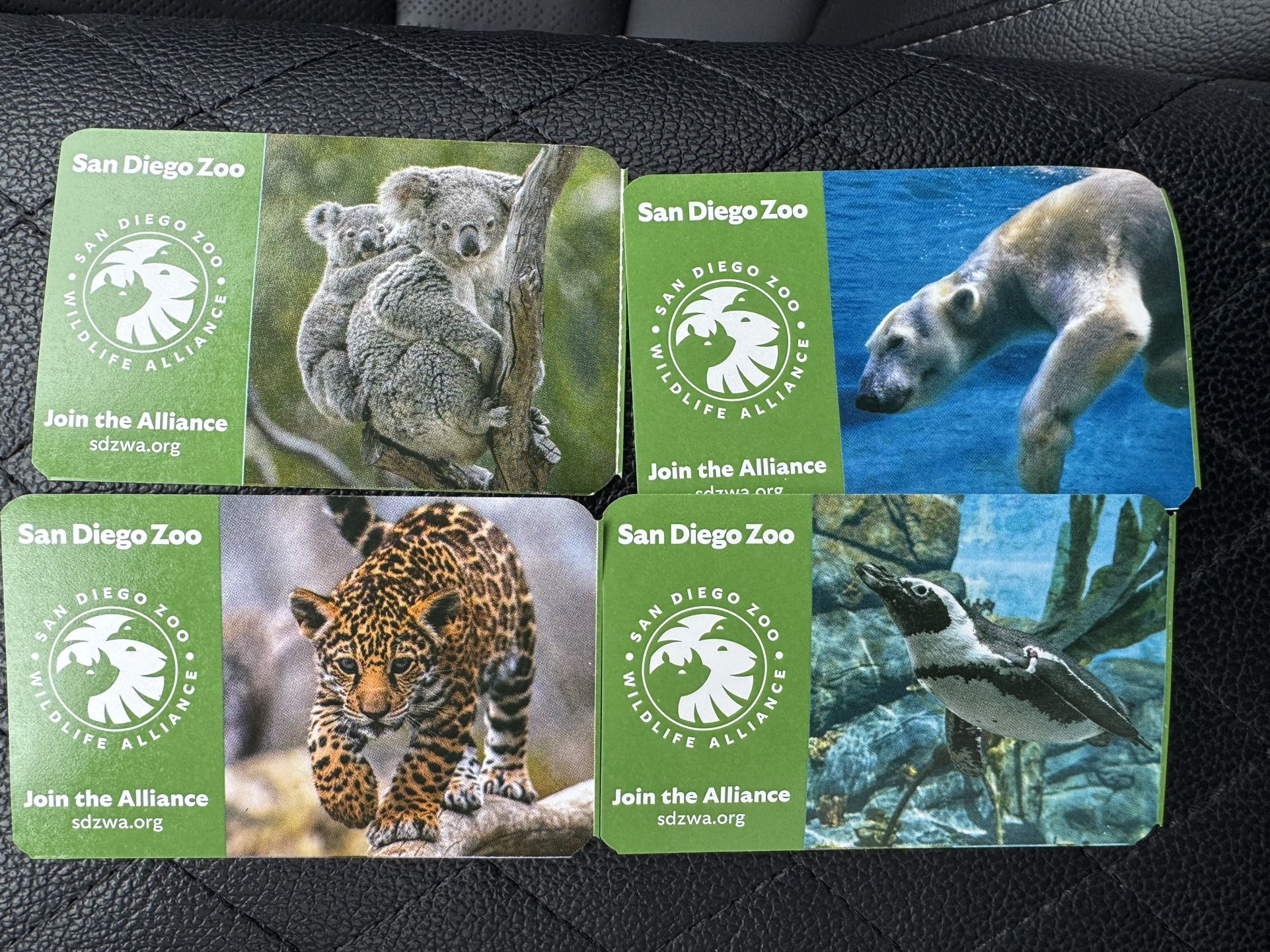 San Diego Zoo Tickets Or Safari