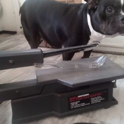 Craftsman 16-in Direct Drive Scroll Saw