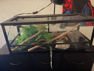Reptile tank 20 g