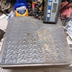 Scale Digital ...$25