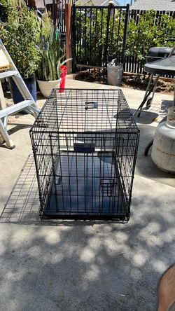 Cage