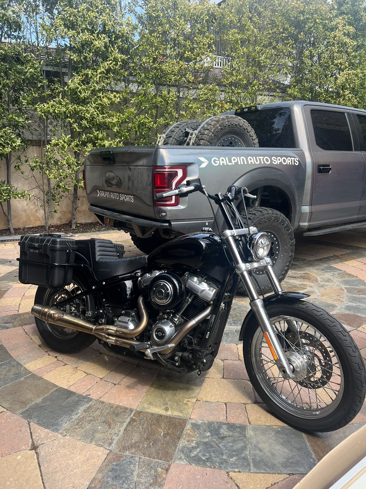 2021 M8 Softail Standard 