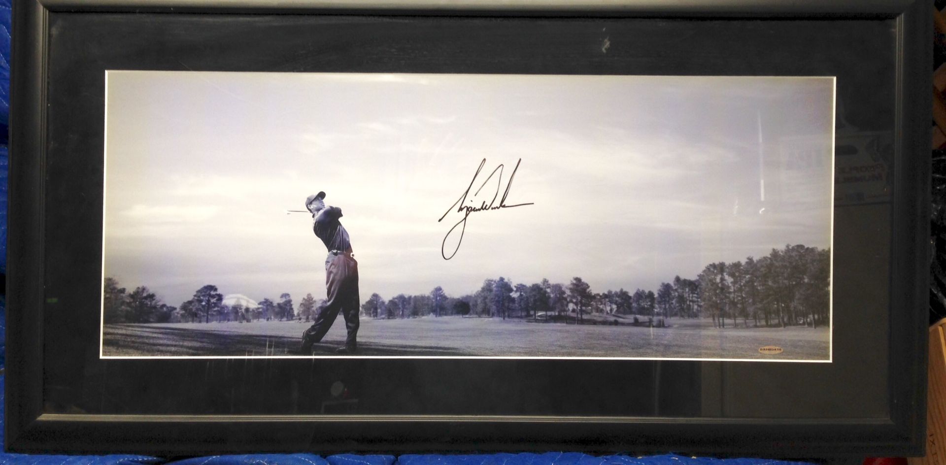 TIGER WOODS Autographed Signed Panoramic Picture UPPER DECK Hologram Authentic