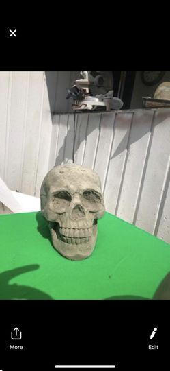 Cement skull *happy halloween*