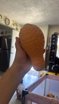 Fried Chicken Squishy