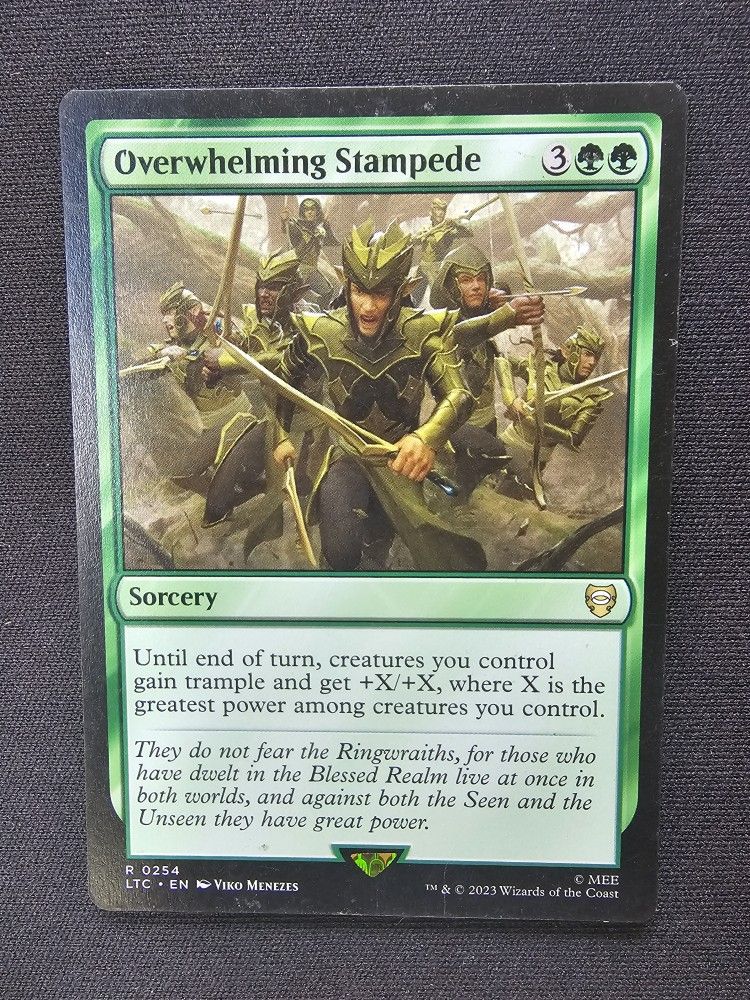 Overwhelming Stampede [The Lord Of The Rings]