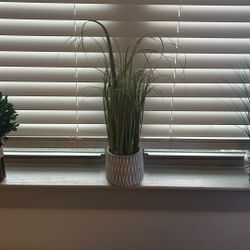 Decorative Faux Plant