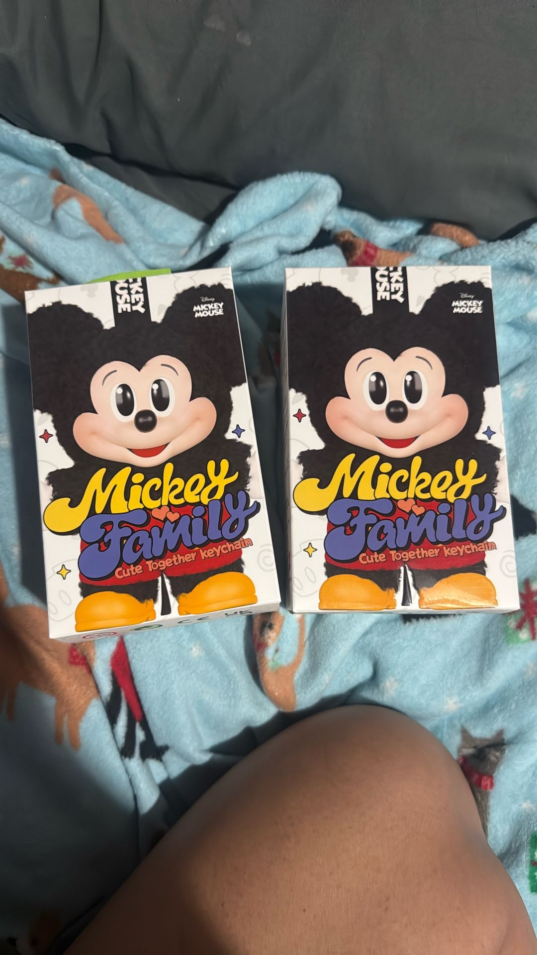 Mickey Family