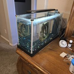 5 Gallon Aquarium Fish Tank