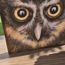 Owl Decor And Paintings