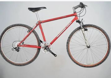 Vintage 1993 diamond back mountain bike