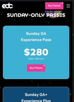 2 Sunday GA WRISTBANDS