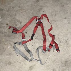Fall Harness