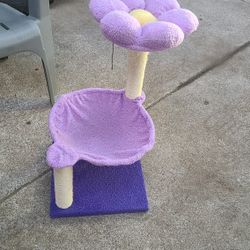 Cama Para Gatitos