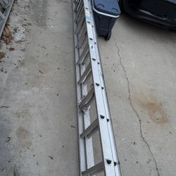 Werner 20’ Extension Ladder