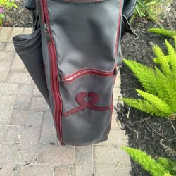 Square two golf cart bag 