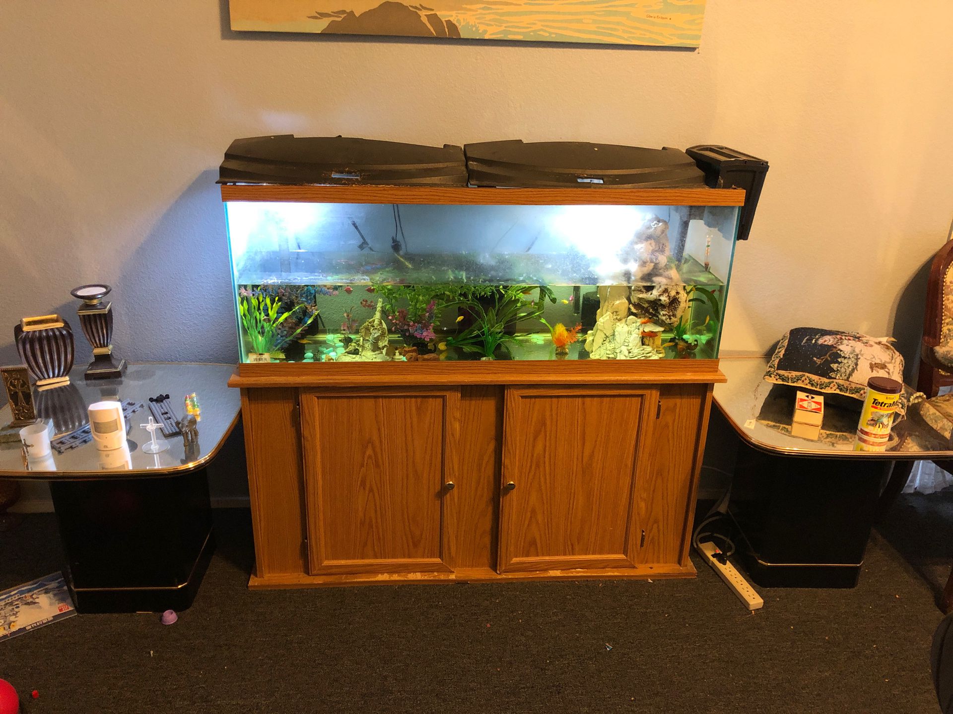 50 gallons fish tank