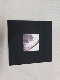 Pearl Jam Super Deluxe Box Set