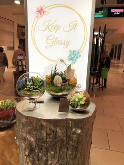 Keep it Glassy!!!!!! Now at Aventura Mall & Boca Raton Town Center.......Best Terrariums and Quality!!!!!!!! Get yours today before we SELLOUT for th