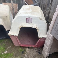 Large Dog House 