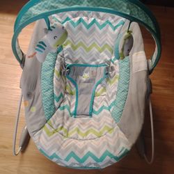 Baby Bouncer 