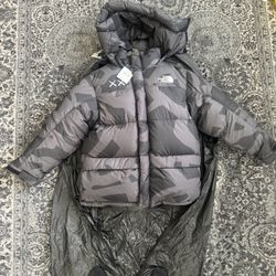 North Face X Kaws Jacket 