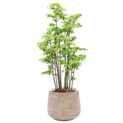 LuxenHome Round 17.32-in W x 17.32-in L x 15-in H Tan, Brown Mixed/Composite Indoor/Outdoor Planter