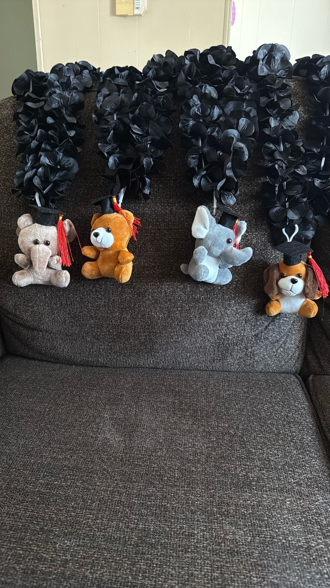 Collares De Graduación 