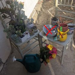 Plants Planters And Watering Can