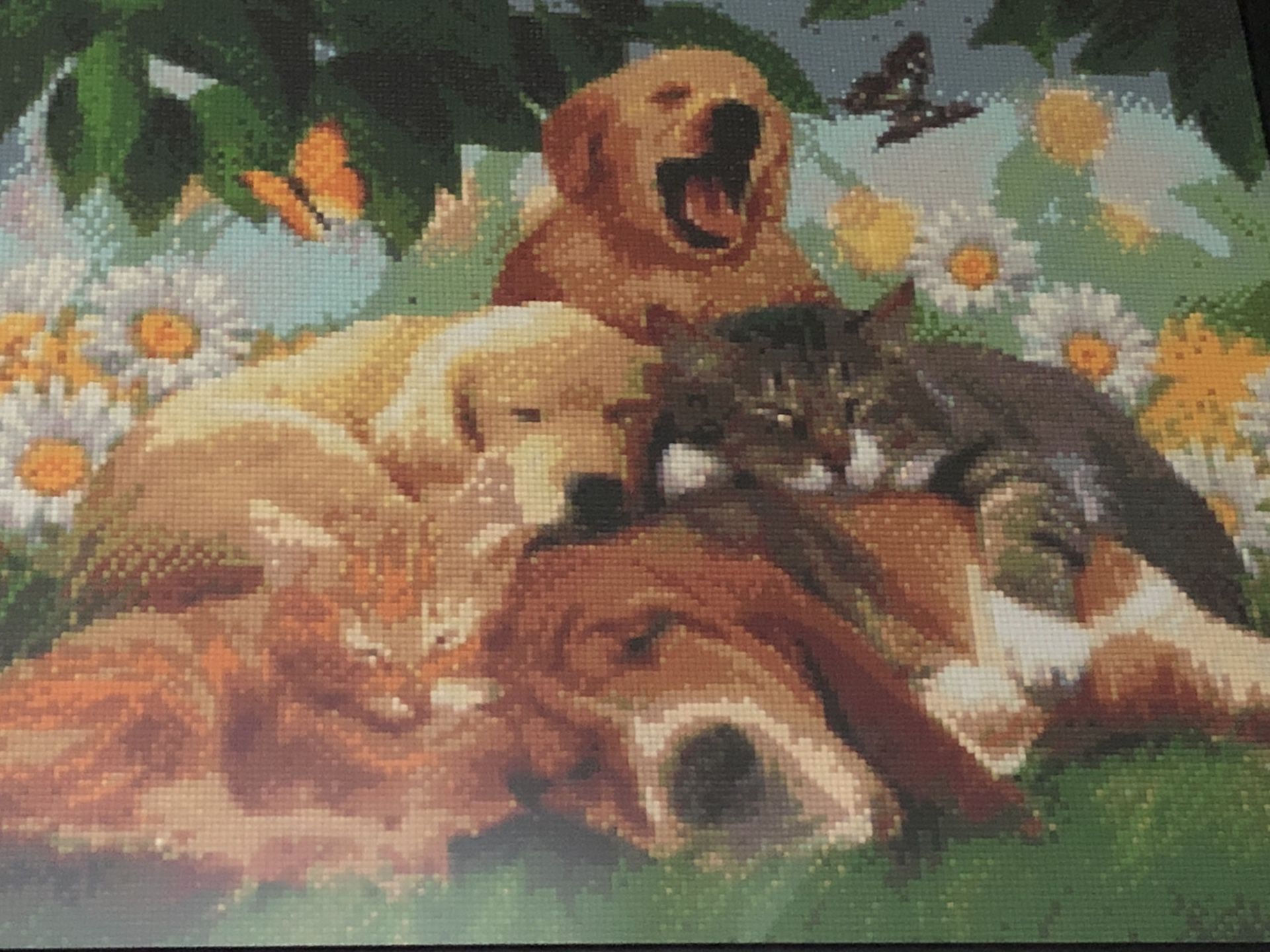 Diamond Painting Cats and Dogs