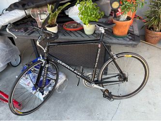 Quintana Roo Te Quilo Triathlon bike 22”