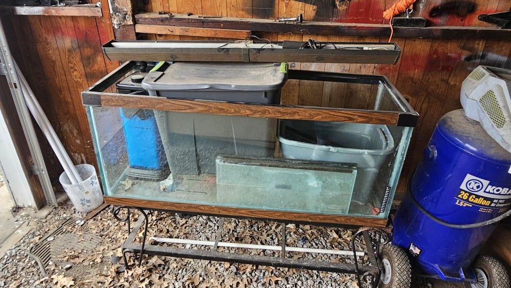 75 Gallon Fish Tank