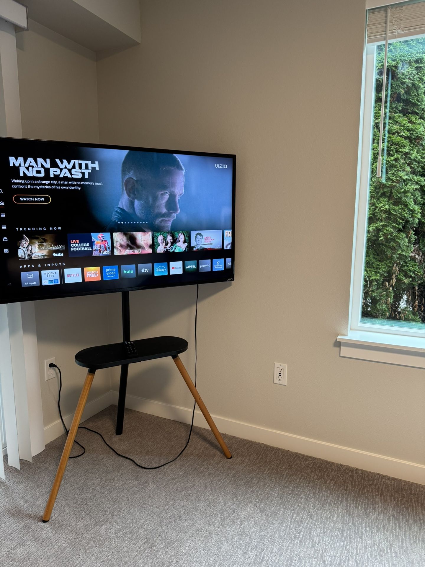 4k Vizio Tv and Tv Stand