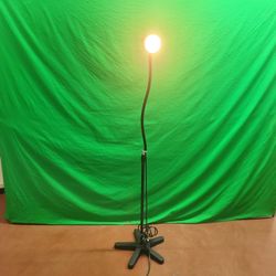 Heavy base goose neck exam light