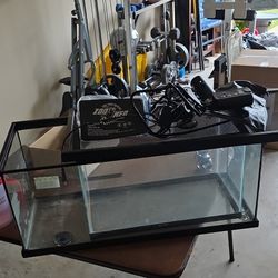 Reptile Tank With Lap And Temp Regulator