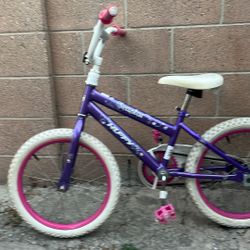 Little Bike Girl 