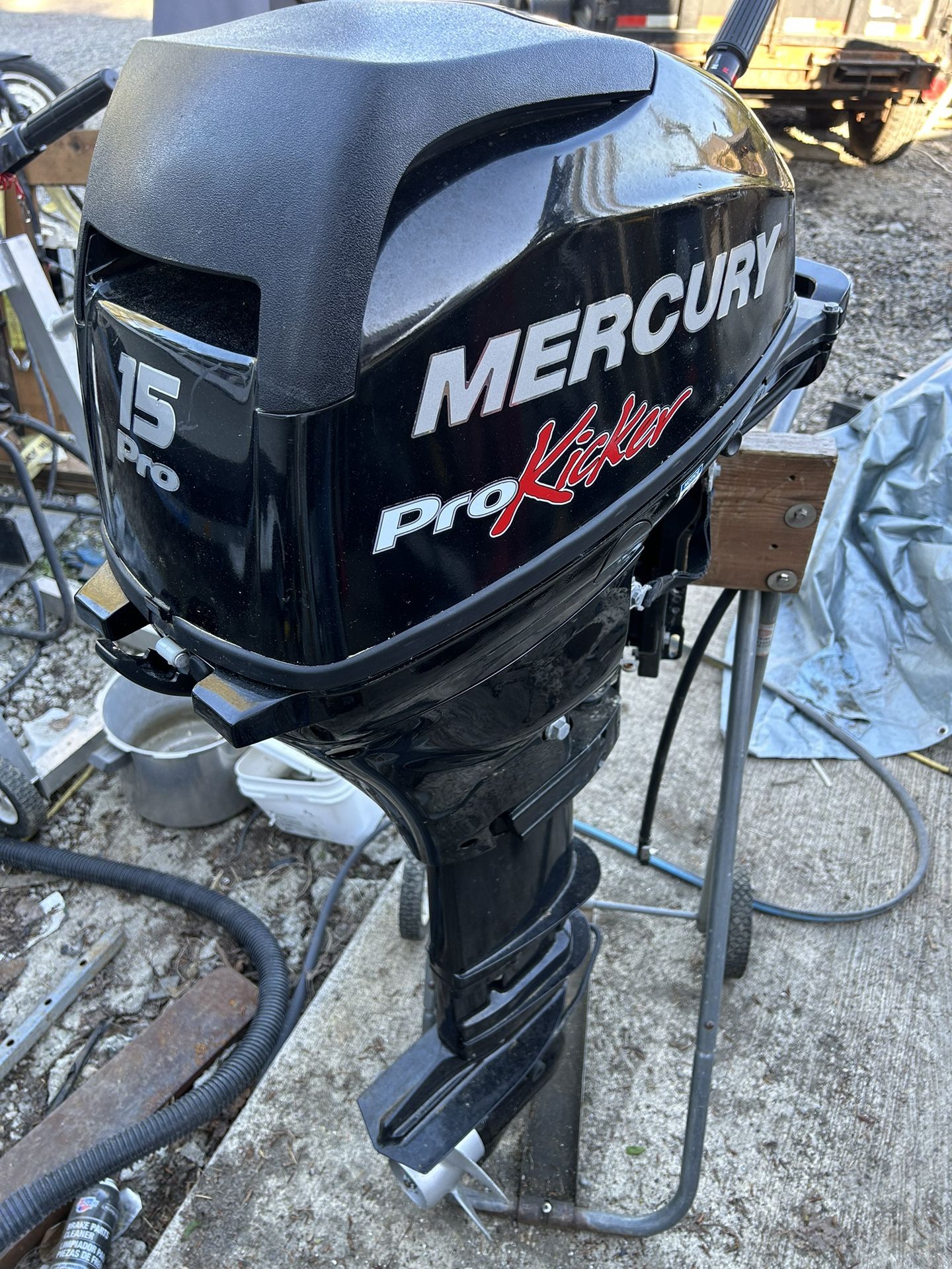 2017 Mercury Pro15