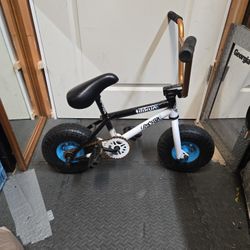 Tilikum IROK + Rocker Mini BMX
