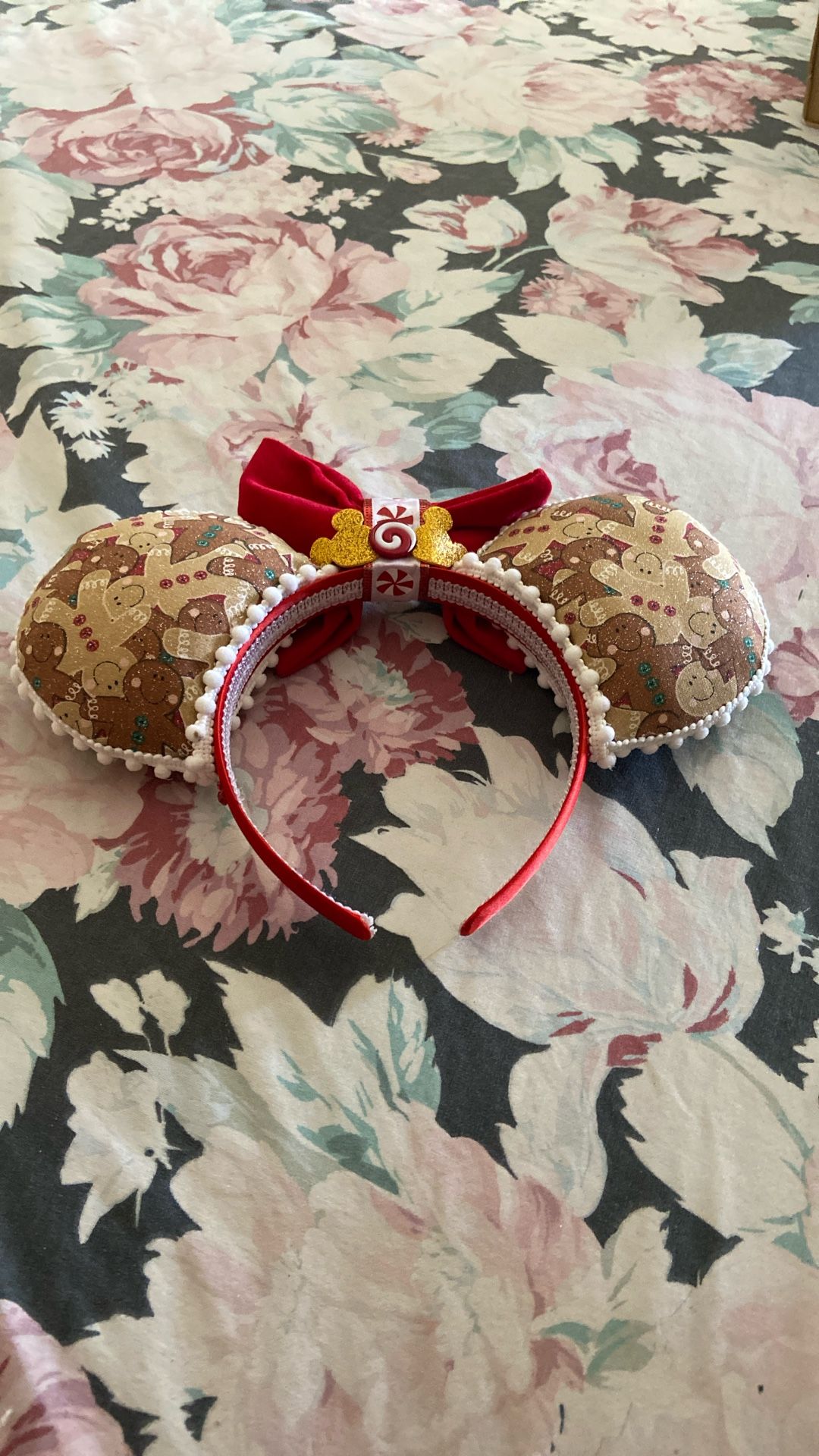 Disney Ears New Beautiful