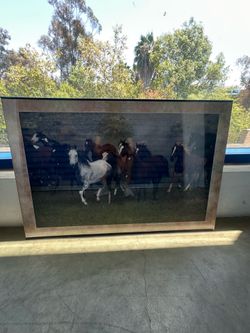Horse poster with frame
