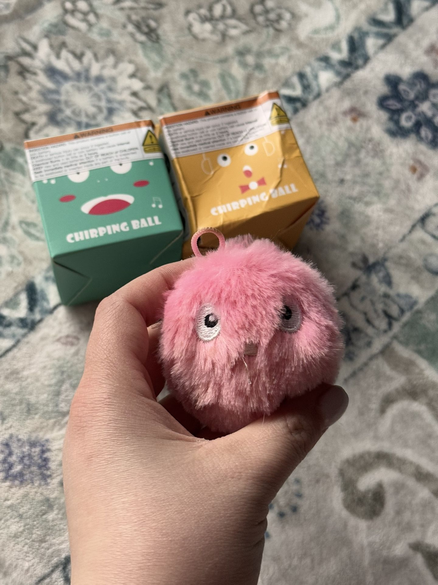 Cat Toy
