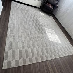 Carpet $100