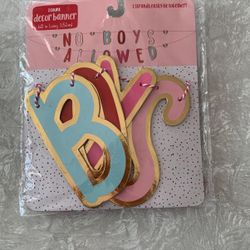 Party Banner “No Boys Allowed” FREE*