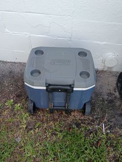 Cooler