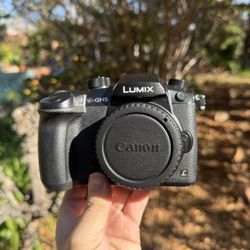 Panasonic Lumix GH5